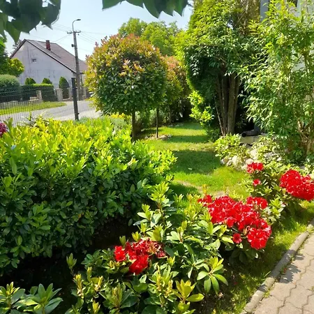 Melania 본보야크바세기