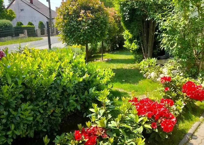 Melania פוניארצוושהג'